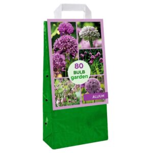 BULB Garden – Allium