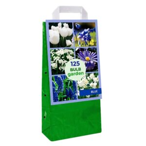 BULB Garden – Blue