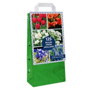 BULB Garden – Bulbs From Holland