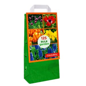 BULB Garden – Colourful