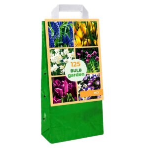 BULB Garden – MIX