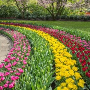 BULB Festival – Party