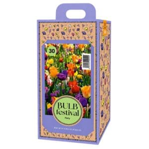 BULB Festival – Party