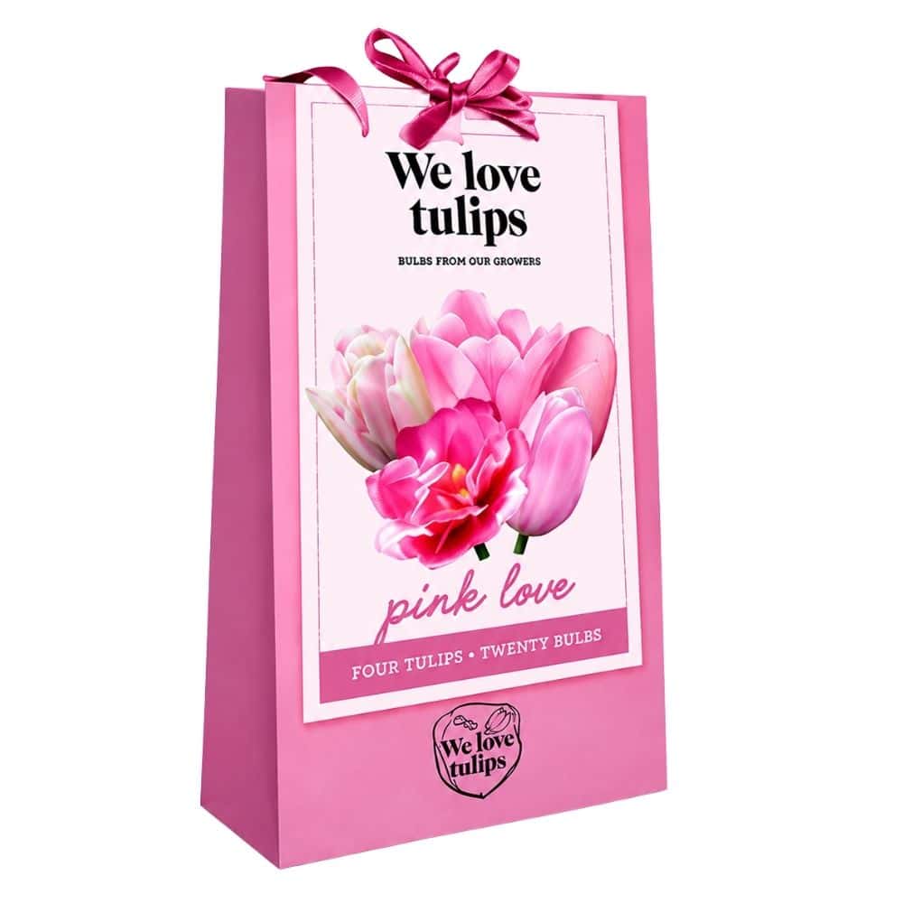 We Love Tulips - Pink Love