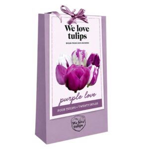 We Love Tulips – Purple Love