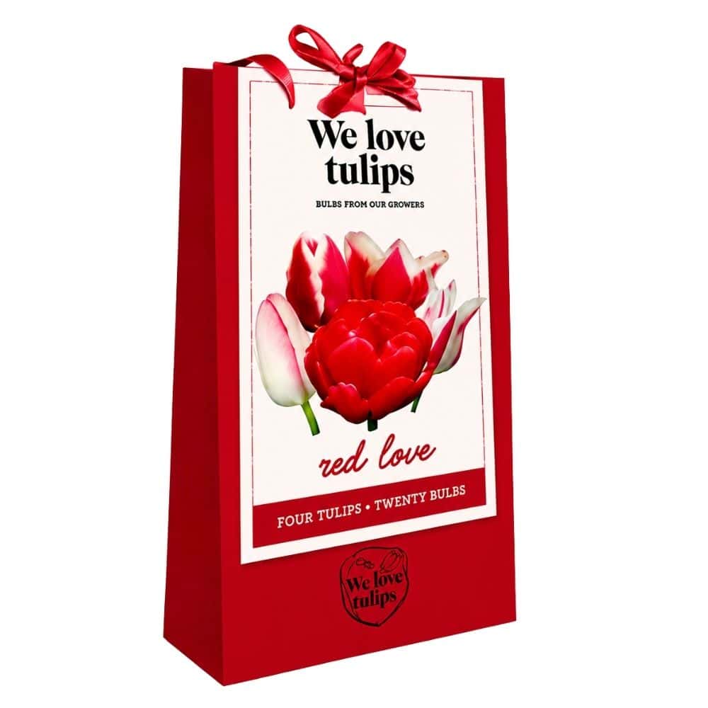 We Love Tulips - Red Love